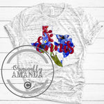 Maroon Bluebonnet Ennis TX